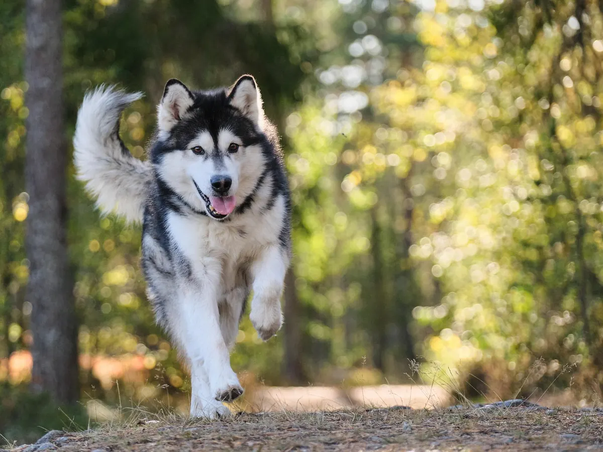 The Seasonal Fitness Reset: A Fall and Winter Workout Motivation Plan